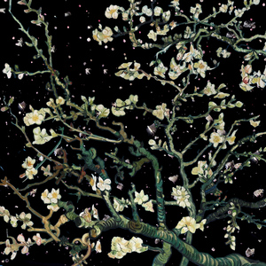 马豆mv影视高清视频免费观看
