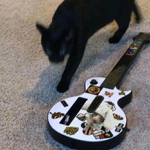 马豆mv影视高清视频免费观看
