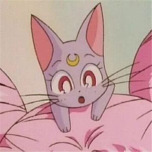 马豆mv影视高清视频免费观看
