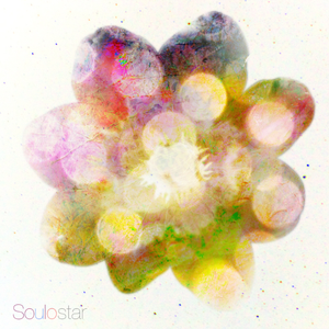 马豆mv影视高清视频免费观看
