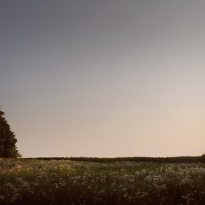 马豆mv影视高清视频免费观看
